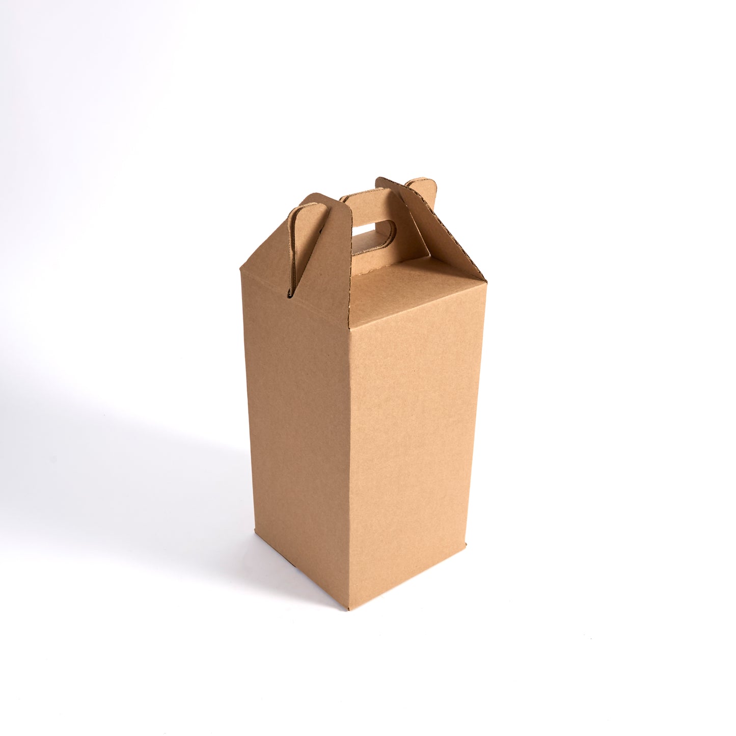 Four Bottle Brown Wine Tote