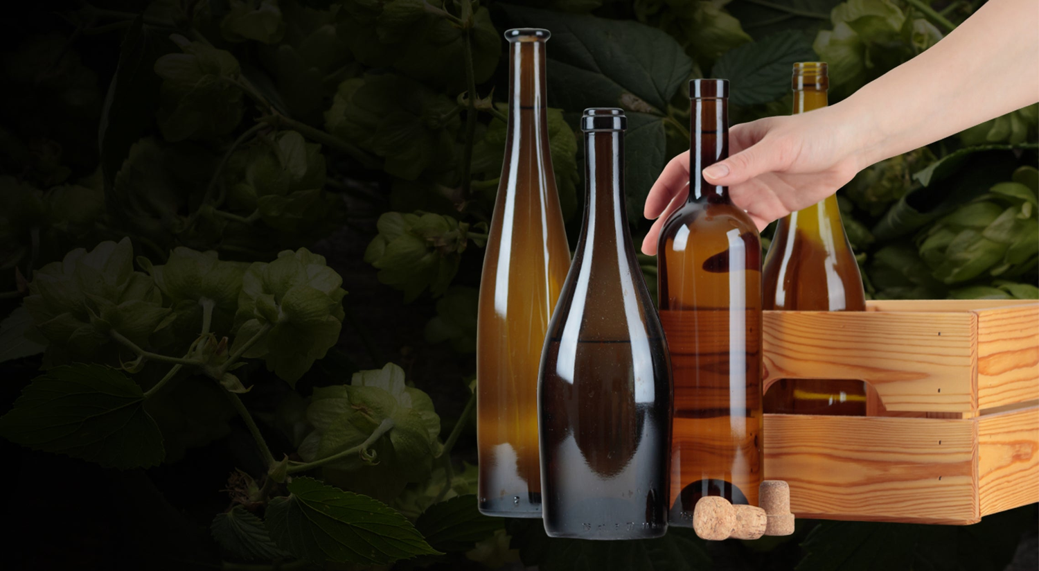 Cardboard Boxes With Inserts