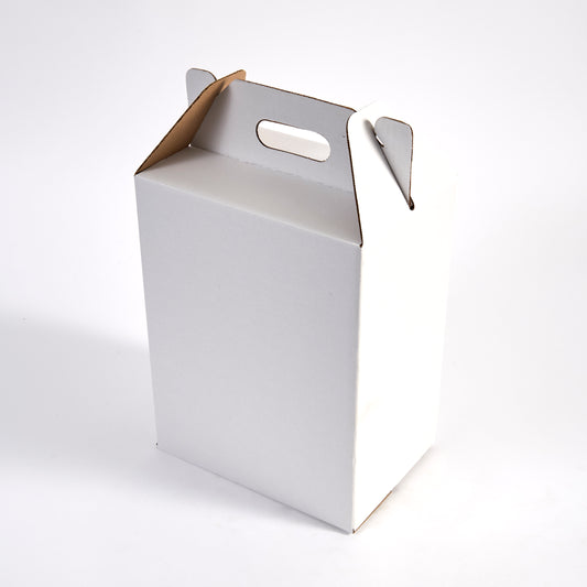Six Bottle Wine Tote White